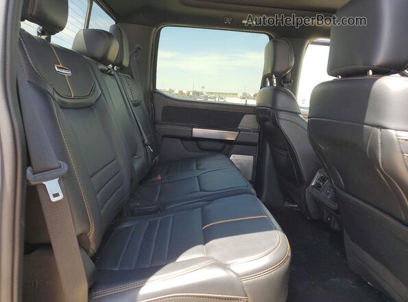 1FT8W2BT9RED17621 2024 FORD F250 Серый Вид задних сидений