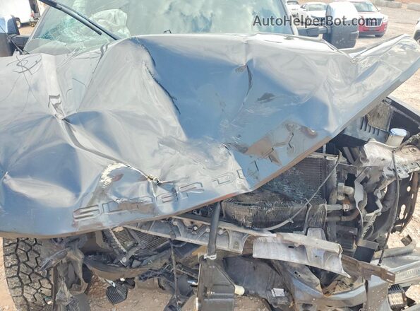 1FT8W2BTXLEC71787 2020 FORD F250 Gray Widok wnętrza z tyłu