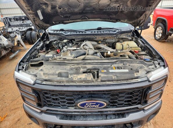 1FT8W2BTXPEC99675 2023 FORD F250 Gray უკანა სალონის ხედი