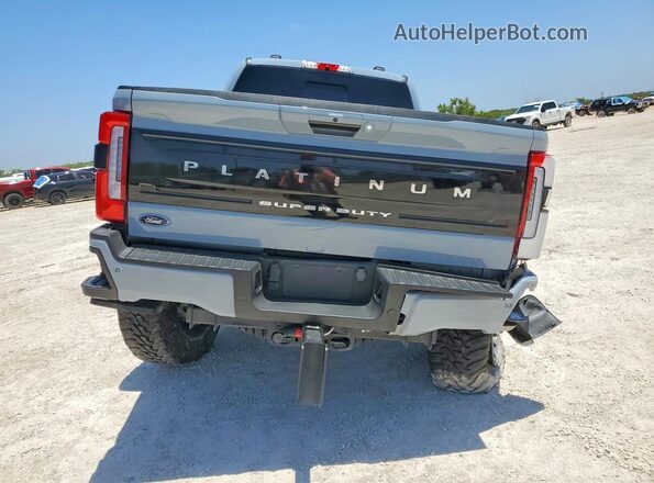 1FT8W3BM3REC73839 2024 FORD F350 Gray უკანა ხედი