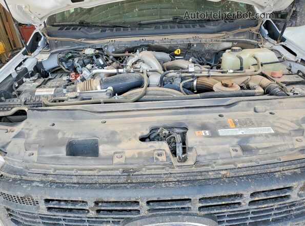 1FT8W3DT4REF58716 2024 FORD F350 White Vista interior trasera