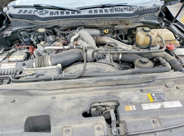 1FT8W3DTXPED65239 2024 FORD F350 Gray Սալոնի հետևի տեսք