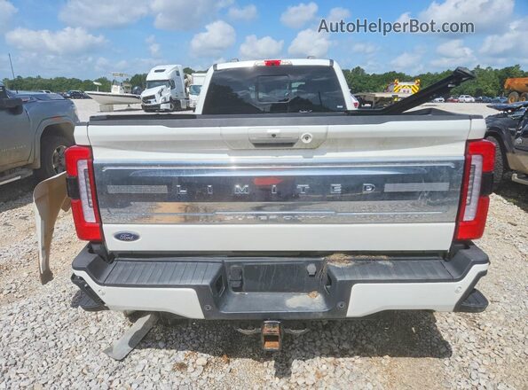 1FT8W4DM9PED60340 2023 FORD F450 White უკანა ხედი