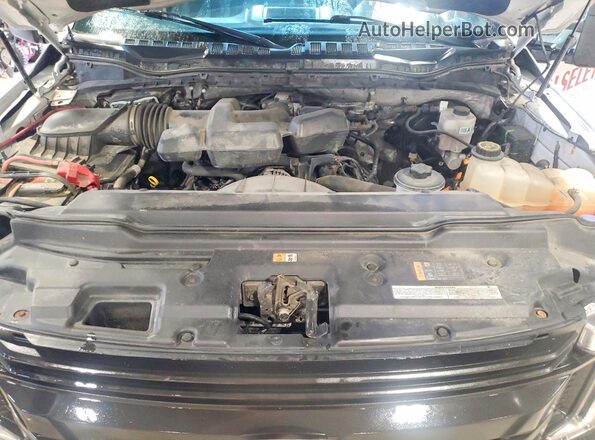 1FTBF2B6XHED22311 2017 FORD F250 Белый Вид задней части салона