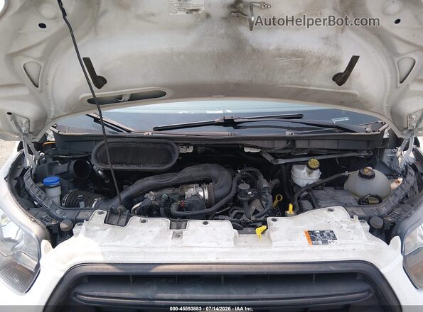 1FTBR1C84LKB65581 2020 FORD TRANSIT-250 White Հետևի տեսք
