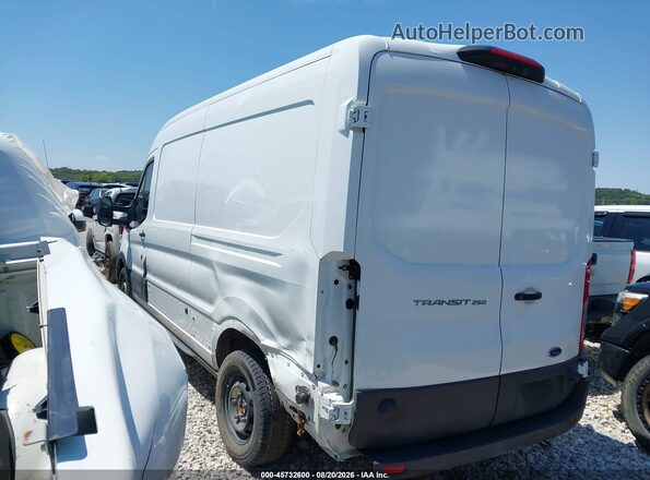 1FTBR1C87LKB46152 2020 FORD TRANSIT-250 White Rear left
