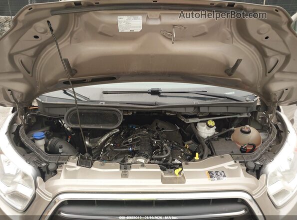 1FTBR1YG8LKB69231 2020 FORD TRANSIT Gold Вид ззаду