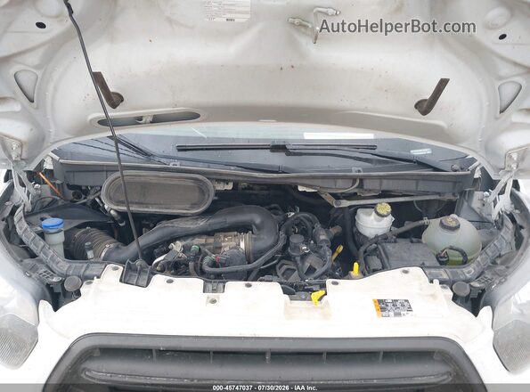 1FTBR3X86LKB54250 2020 FORD TRANSIT-250 White Widok z tyłu
