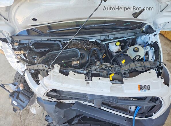 1FTBW3X89RKB02466 2024 FORD T White Widok komory silnika