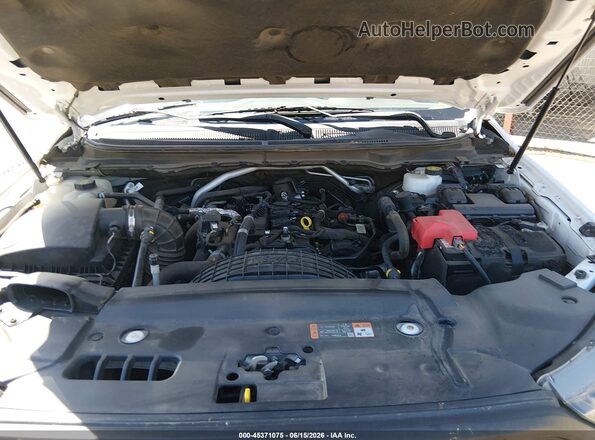 1FTER1FH1LLA64968 2020 FORD RANGER White Հետևի տեսք