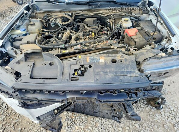 1FTER4BH5RLE15039 2024 FORD RANGER White Սալոնի հետևի տեսք