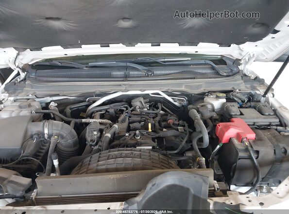 1FTER4EH2MLD54401 2021 FORD RANGER White Հետևի տեսք