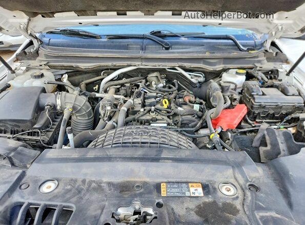 1FTER4FHXLLA70138 2020 FORD RANGER White Սալոնի հետևի տեսք