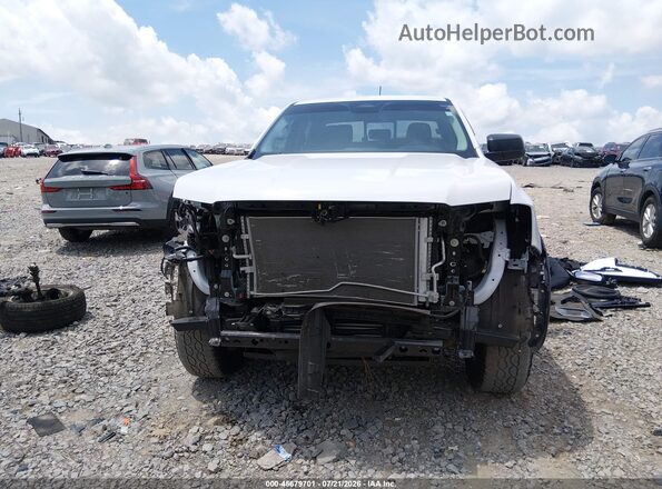 1FTER4GH4RLE37462 2024 FORD RANGER Белый Вид задней части салона