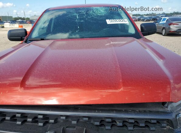 1FTER4GH6RLE58944 2024 FORD RANGER Red Widok wnętrza z tyłu