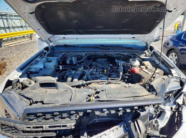 1FTER4HH0RLE28899 2024 FORD RANGER Белый Вид задней части салона