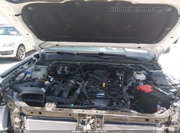 1FTER4HH2RLE51827 2024 FORD RANGER Белый Вид сзади