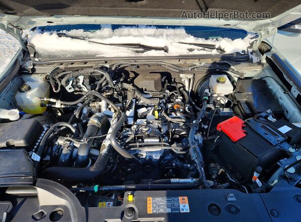 1FTER4HH4RLE58228 2024 FORD RANGER Серый Вид задней части салона