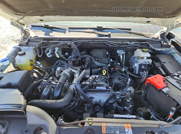 1FTER4HH8RLE01241 2024 FORD RANGER Gray Սալոնի հետևի տեսք