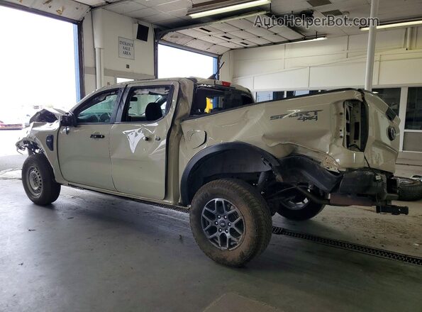 1FTER4HH8SLE17364 2025 FORD RANGER Cream Задня ліва чверть