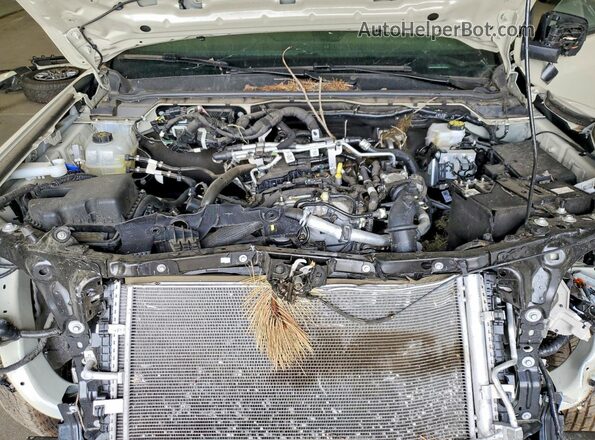 1FTER4HH8SLE17364 2025 FORD RANGER Cream Вид задньої частини салону