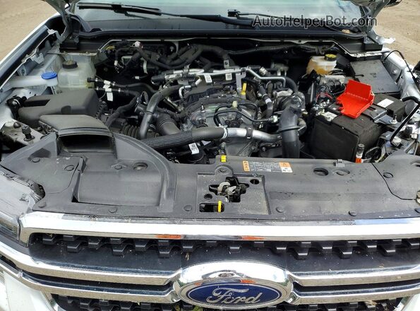 1FTER4HH9SLE54598 2025 FORD RANGER White Սալոնի հետևի տեսք