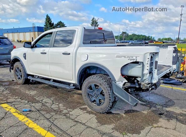 1FTER4HHXRLE20003 2024 FORD RANGER Белый Задняя левая четверть