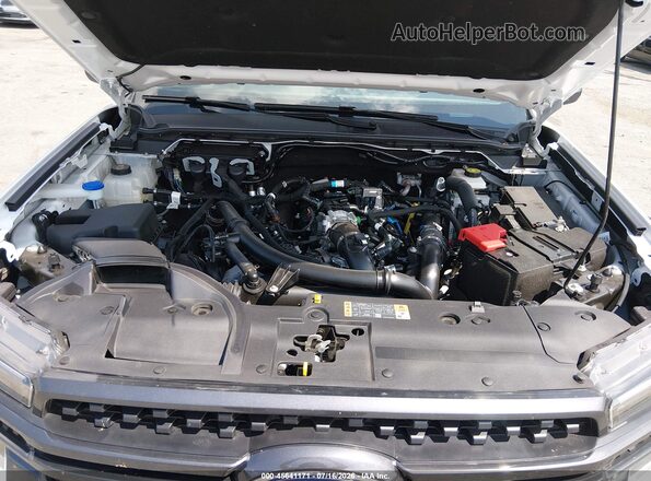 1FTER4HP8RLE43853 2024 FORD RANGER Белый Вид сзади