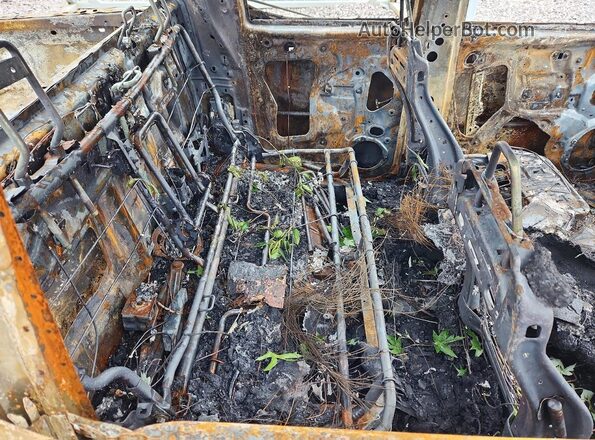 1FTER4LR5RLE23729 2024 FORD RANGER Burn Widok tylnych siedzeń