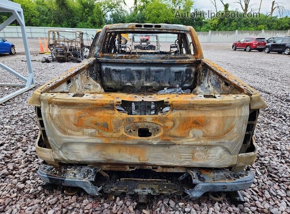1FTER4LR5RLE23729 2024 FORD RANGER Burn Widok z tyłu
