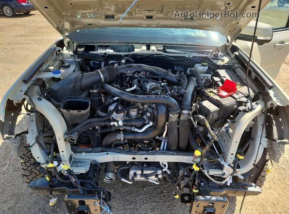 1FTER4LR8SLE06266 2025 FORD RANGER Tan Widok wnętrza z tyłu