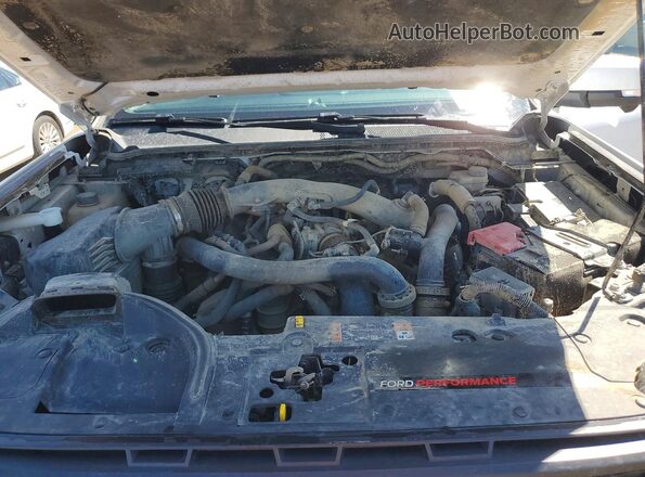 1FTER4LR9SLE01495 2025 FORD RANGER White უკანა სალონის ხედი