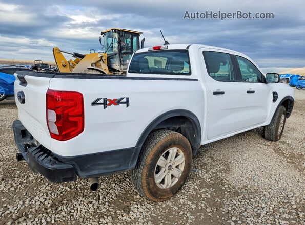 1FTER4PH3RLE34827 2024 FORD RANGER White უკანა მარჯვენა