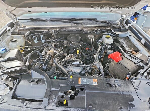 1FTER4PH3RLE34827 2024 FORD RANGER White უკანა სალონის ხედი