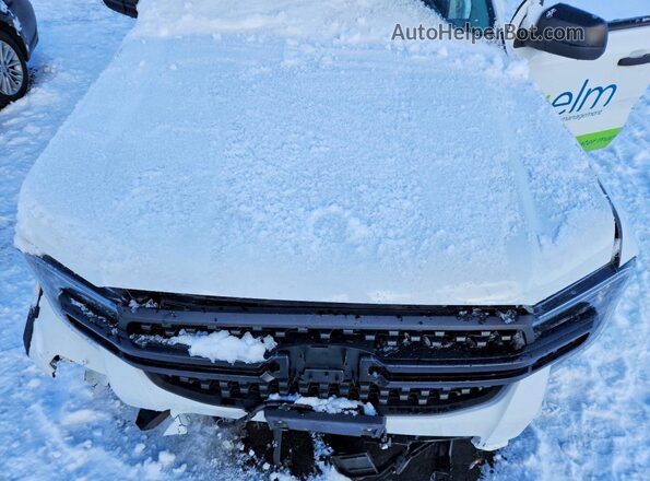 1FTER4PH7RLE56765 2024 FORD RANGER Белый Вид задней части салона