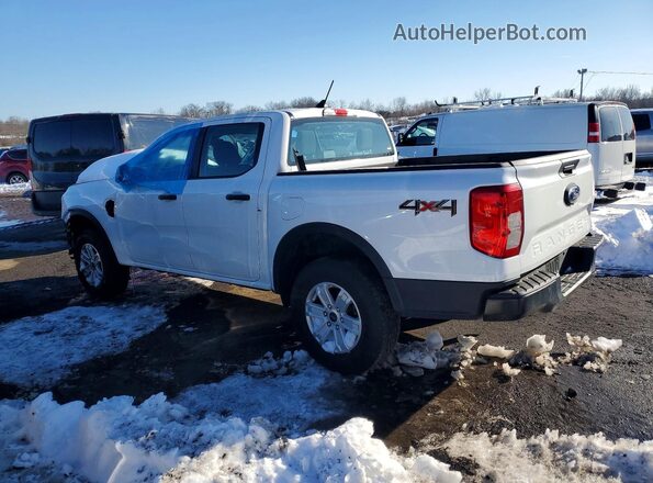 1FTER4PH7RLE56765 2024 FORD RANGER Белый Задняя левая четверть