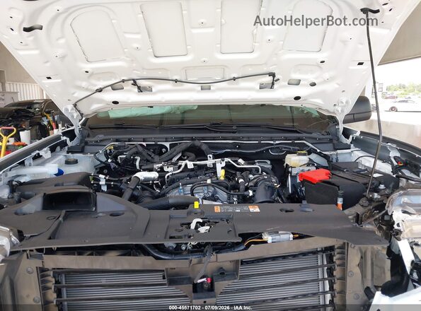 1FTER4PH7TLE10859 2026 FORD RANGER Белый Вид сзади