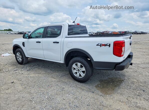 1FTER4PH8SLE58806 2025 FORD RANGER White უკანა მარცხენა