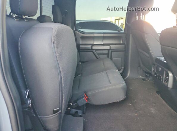 1FTEW1C44LKE33242 2020 FORD F150 Gray Vista de los asientos traseros