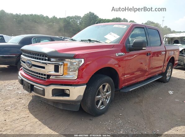 1FTEW1C47LKF56680 2020 FORD F150 Red Przód lewy
