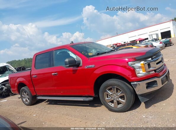 1FTEW1C47LKF56680 2020 FORD F150 Red Widok wnętrza z tyłu
