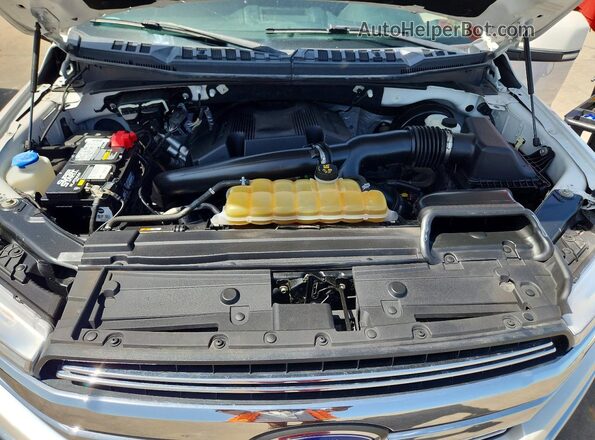 1FTEW1C48KKE13414 2019 FORD F150 White Rear interior view