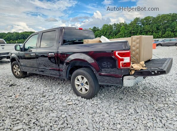 1FTEW1C51KFA64775 2019 FORD F150 Темно-бордовый Задняя левая четверть