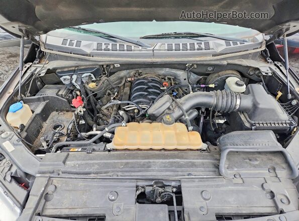 1FTEW1C51KFA64775 2019 FORD F150 Темно-бордовый Вид задней части салона