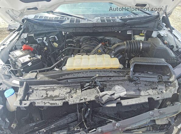 1FTEW1C51MKF11874 2021 FORD F150 Белый Вид задней части салона