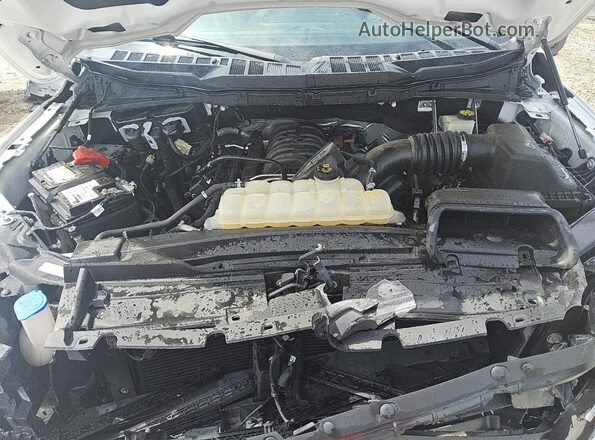 1FTEW1C51MKF11874 2021 FORD F150 Белый 