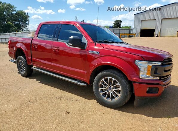 1FTEW1C52KKF26669 2019 FORD F150 Burgundy Front right
