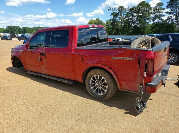 1FTEW1C52KKF26669 2019 FORD F150 Burgundy Rear left