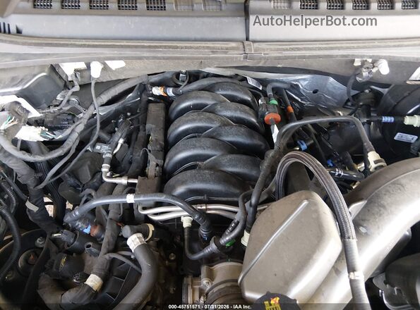 1FTEW1C52LFA33696 2020 FORD F150 Silver Rear view