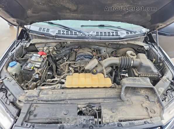 1FTEW1C53LKE08535 2020 FORD F150 Gray Вид задньої частини салону